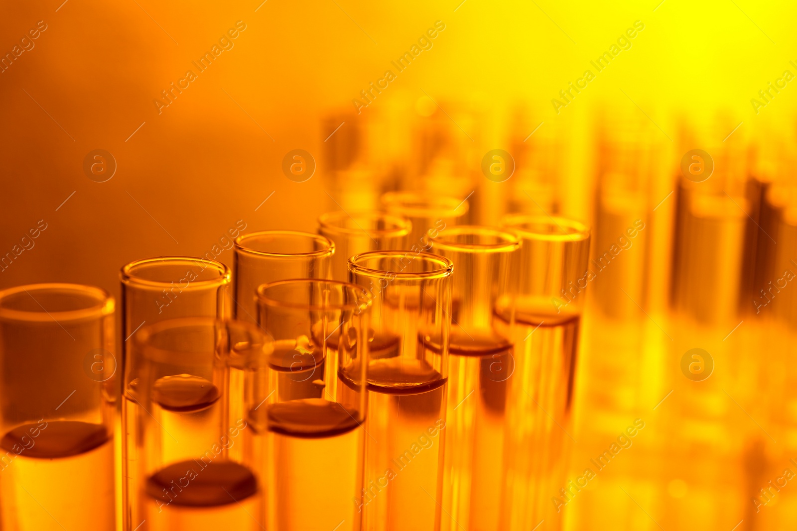 Photo of Closeup view of many test tubes with liquid, color tone effect