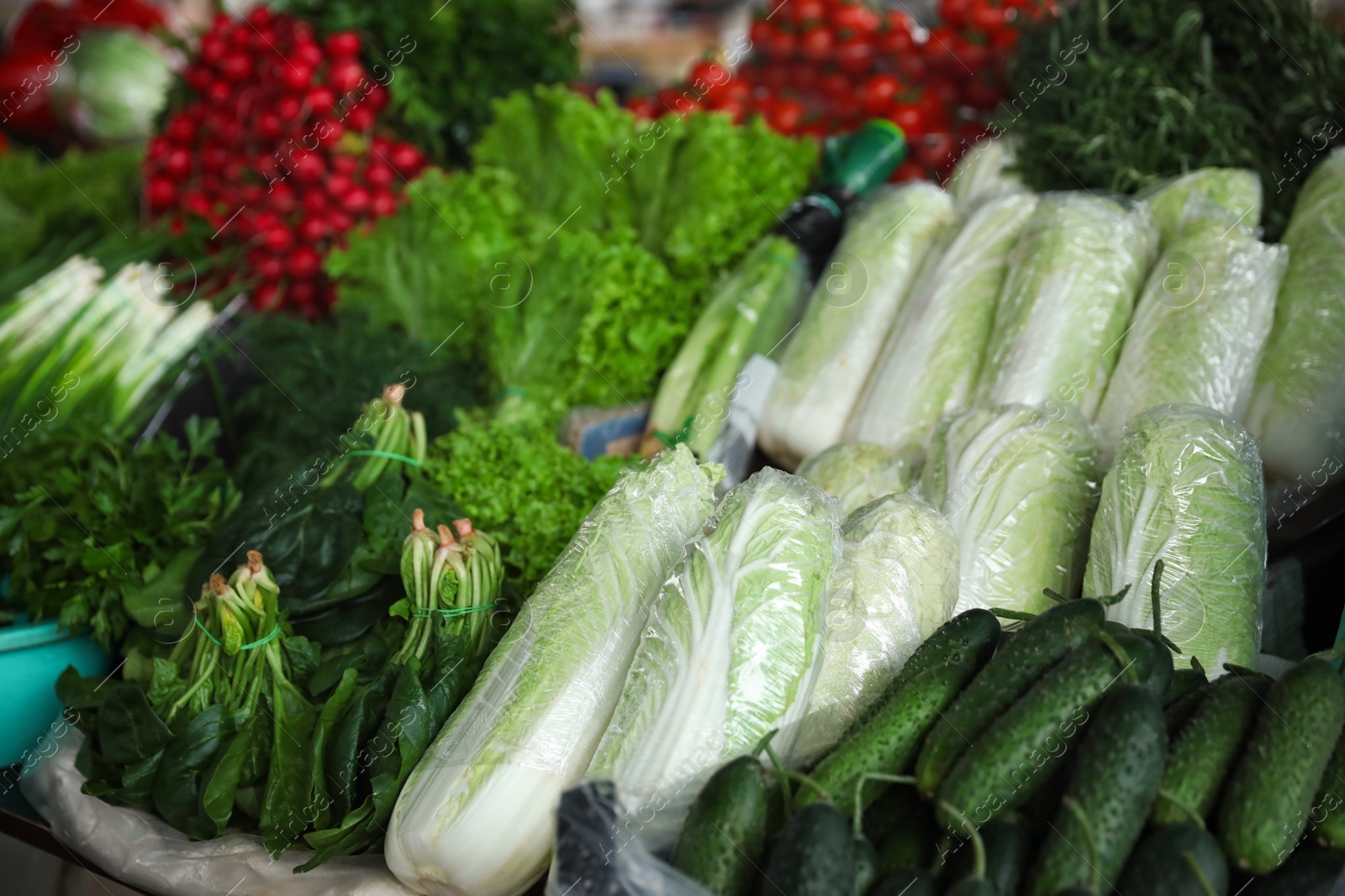 Photo of Fresh ripe vegetables and herbs on counter at wholesale market