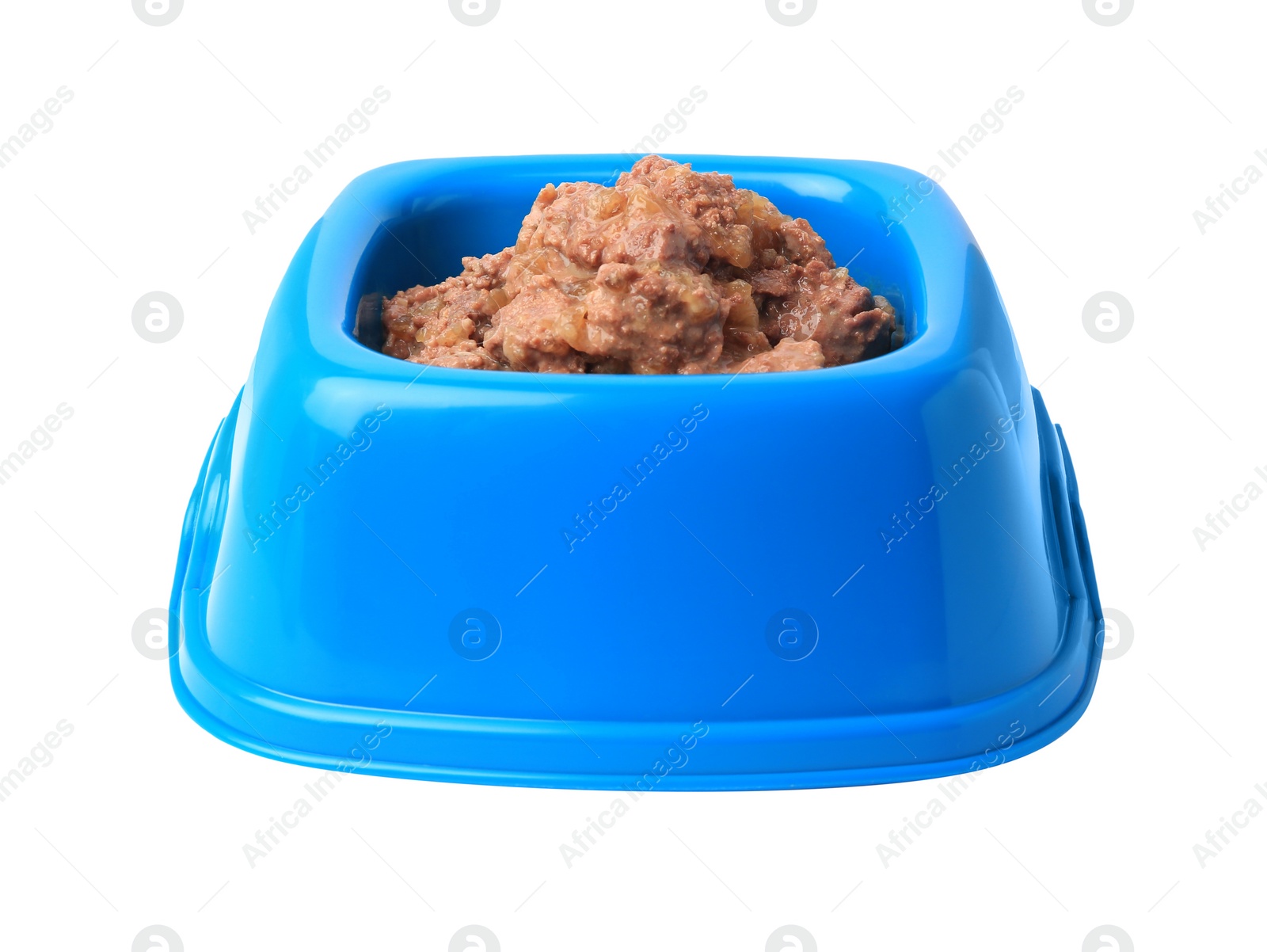 Photo of Wet pet food in feeding bowl on white background