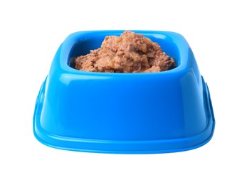 Wet pet food in feeding bowl on white background