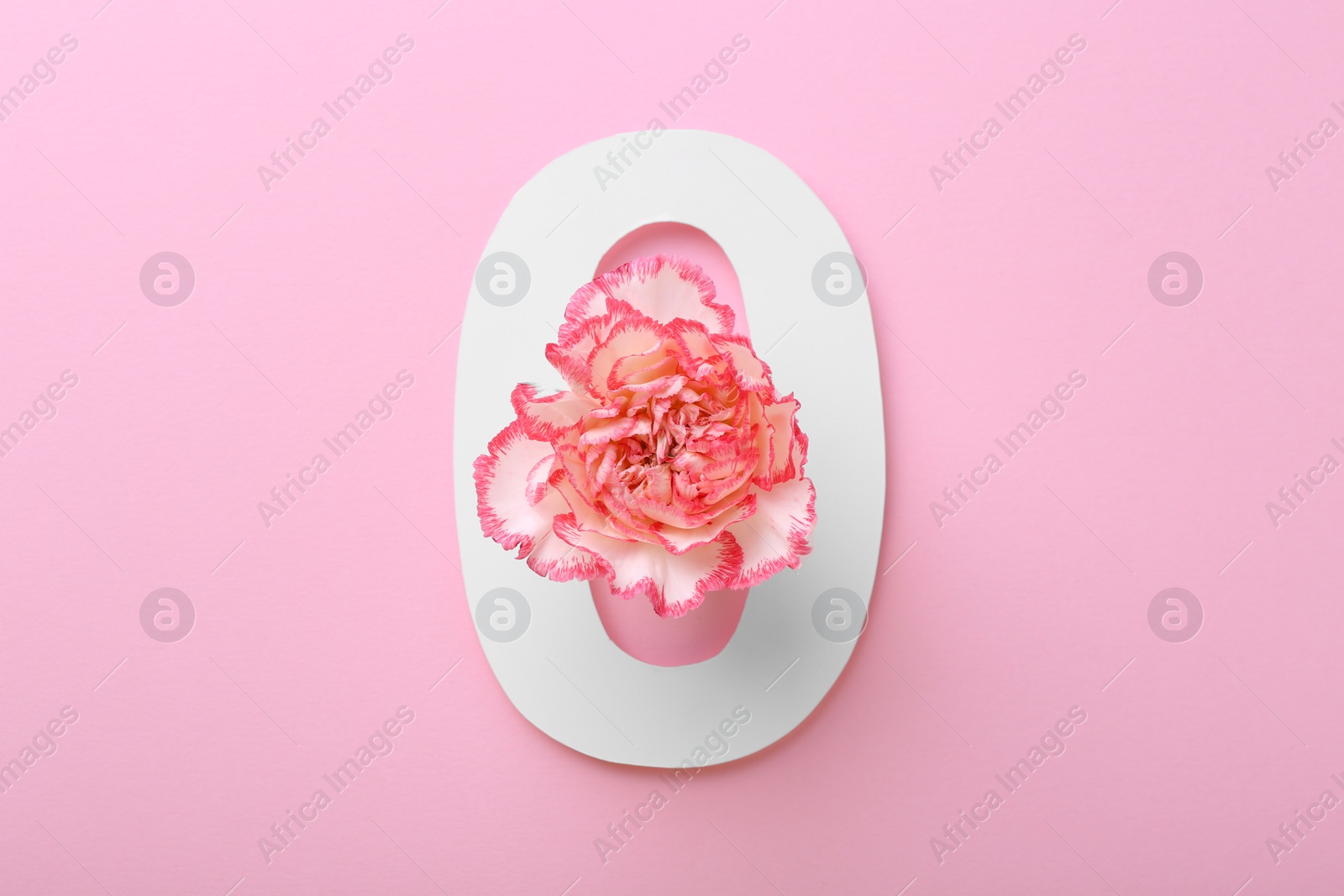 Photo of Paper number 0 and beautiful carnation flower on pink background, top view