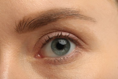 Photo of Woman with beautiful natural eyelashes, closeup view