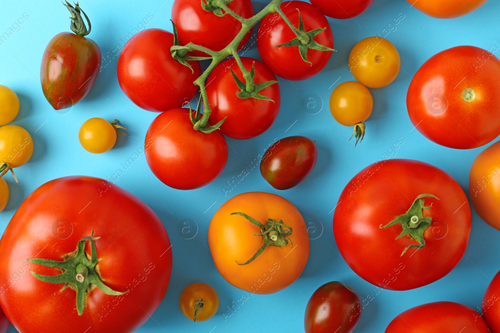 Photo of Flat lay composition with fresh ripe tomatoes on light blue background