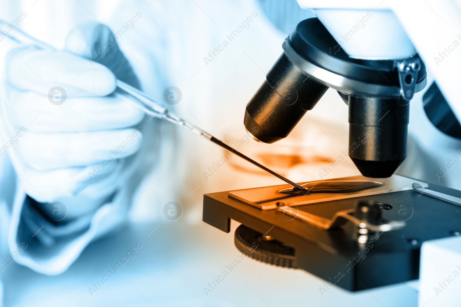 Image of Scientist examining blood sample with microscope, closeup. Laboratory analysis