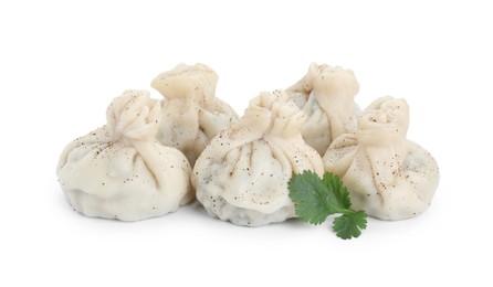 Photo of Tasty khinkali (dumplings) and spices isolated on white. Georgian cuisine