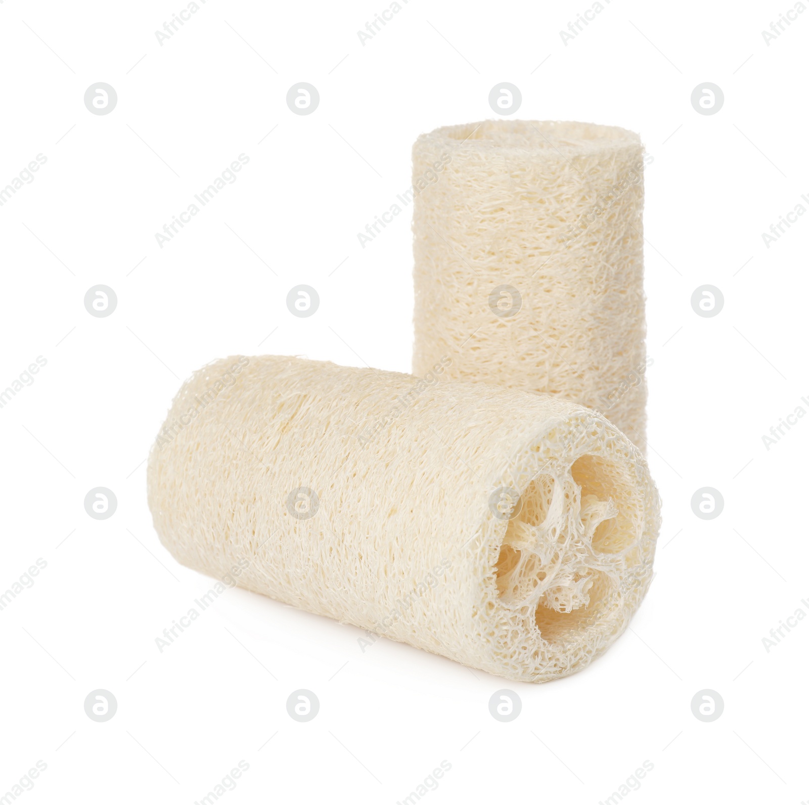 Photo of Natural shower loofah sponges on white background