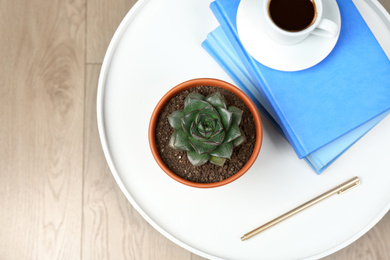 Beautiful Echeveria plant, books and cup of coffee on white table at home, top view