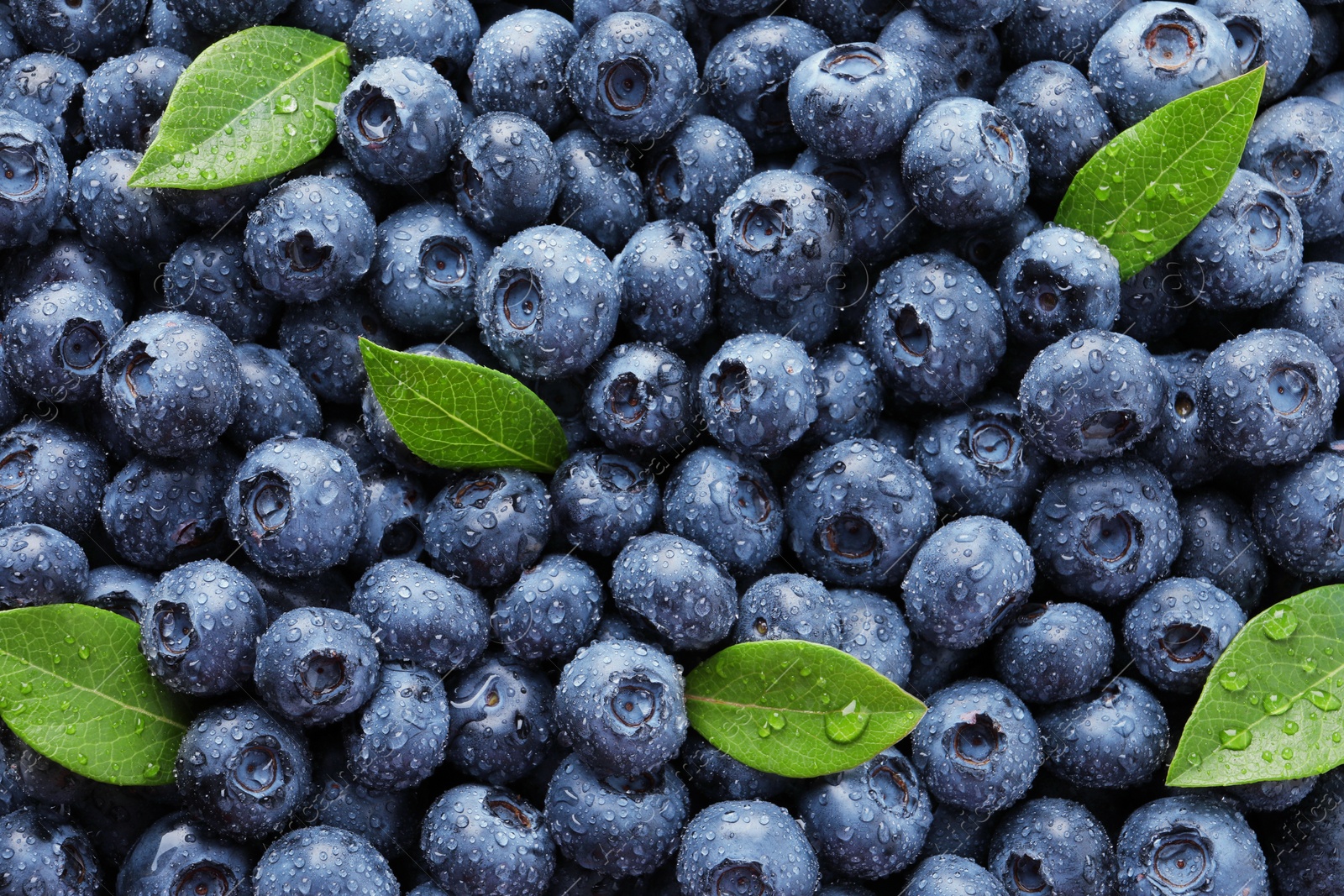 Photo of Wet fresh blueberries with green leaves as background, top view