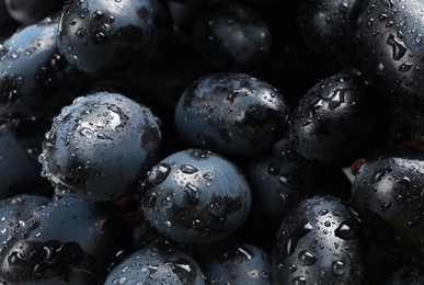 Photo of Fresh ripe juicy grapes with water drops as background, closeup