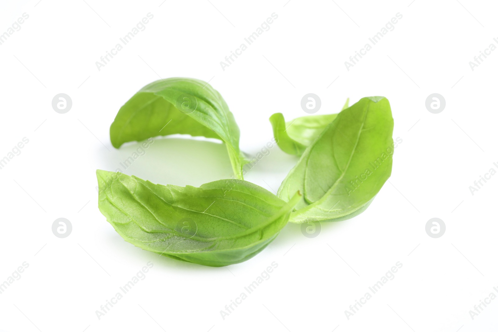 Photo of Fresh green basil leaves isolated on white