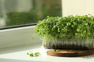 Photo of Fresh daikon radish microgreen growing in plastic container on windowsill, space for text
