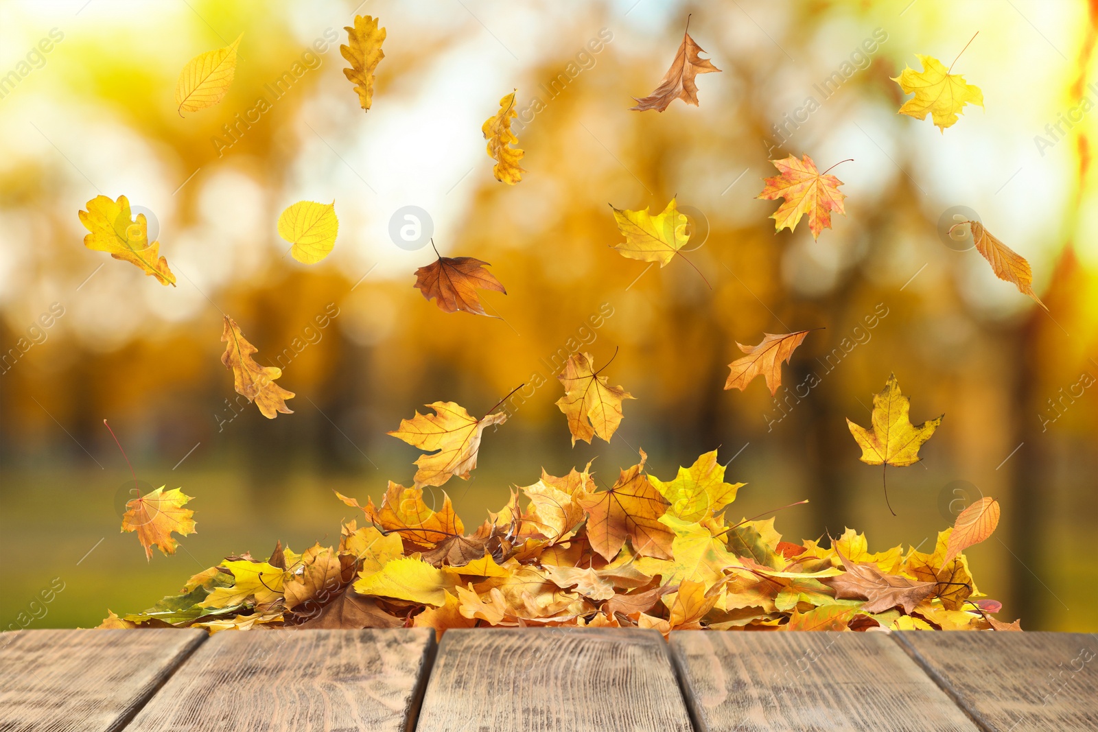 Image of Wooden surface and falling autumn leaves outdoors 