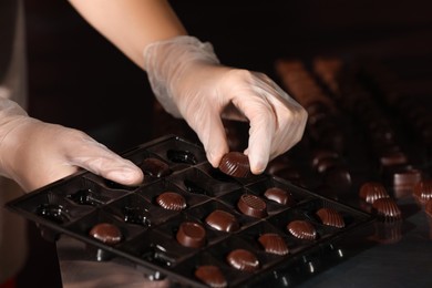 Woman packing delicious candies at production line, closeup