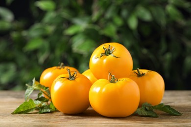 Fresh ripe yellow tomatoes on wooden table outdoors