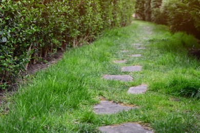 Photo of View of stone pathway and green lawn in park