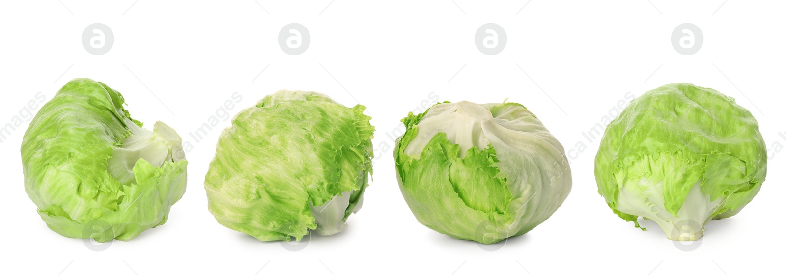 Image of Collage with fresh iceberg lettuce heads on white background