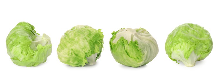 Collage with fresh iceberg lettuce heads on white background