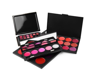 Cream lipstick palettes on white background. Professional cosmetic product