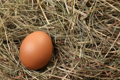 Photo of Fresh raw chicken egg on dried hay