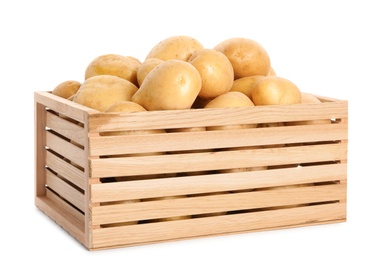 Photo of Raw fresh organic potatoes on white background