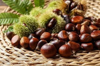 Fresh sweet edible chestnuts on wicker mat, closeup