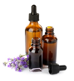 Photo of Bottles of essential oil and lavender flowers isolated on white