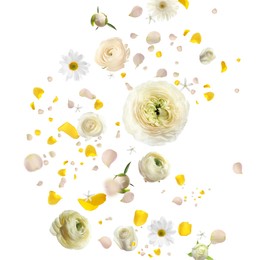 Image of Beautiful flowers and petals flying on white background