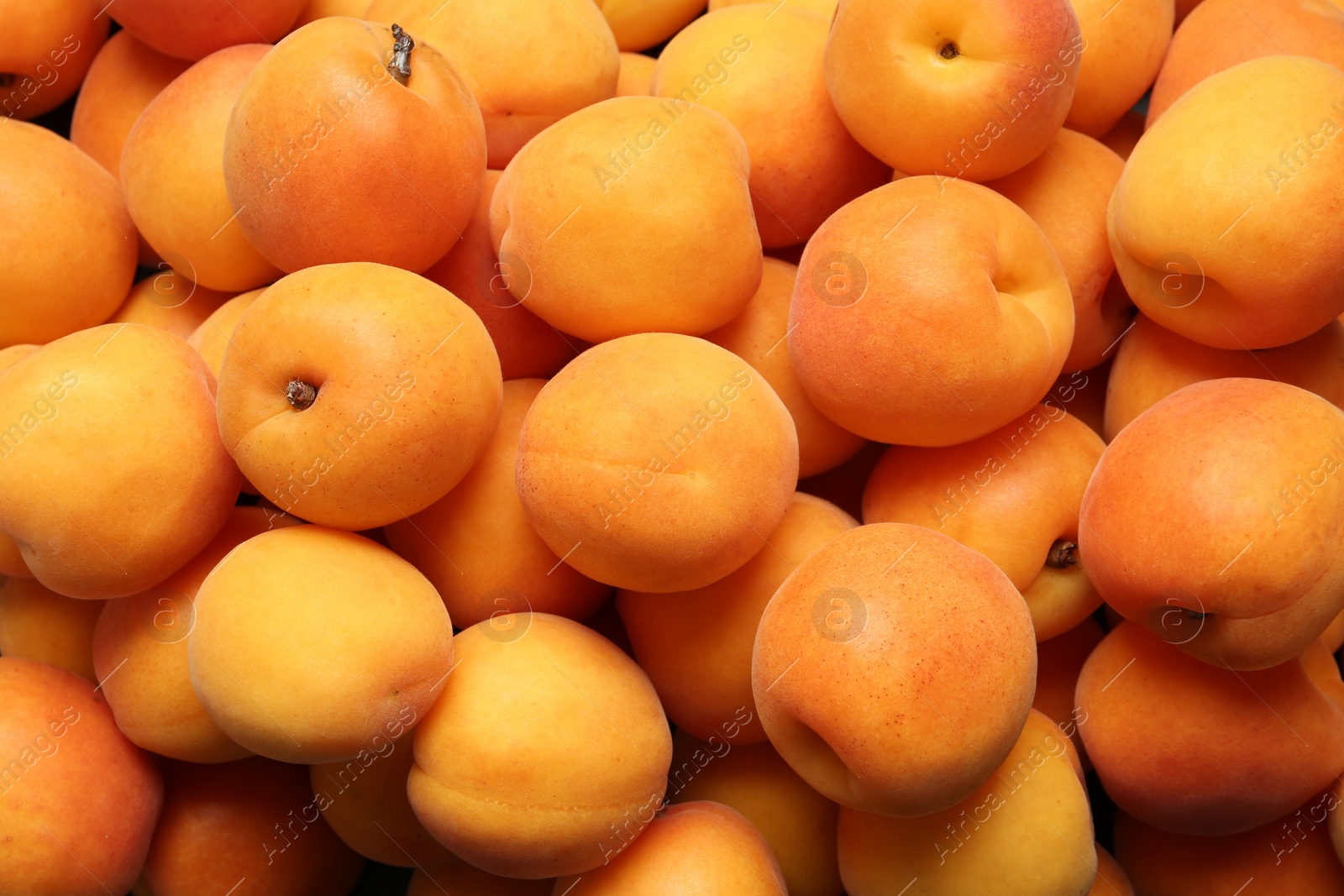 Photo of Delicious ripe sweet apricots as background, closeup view