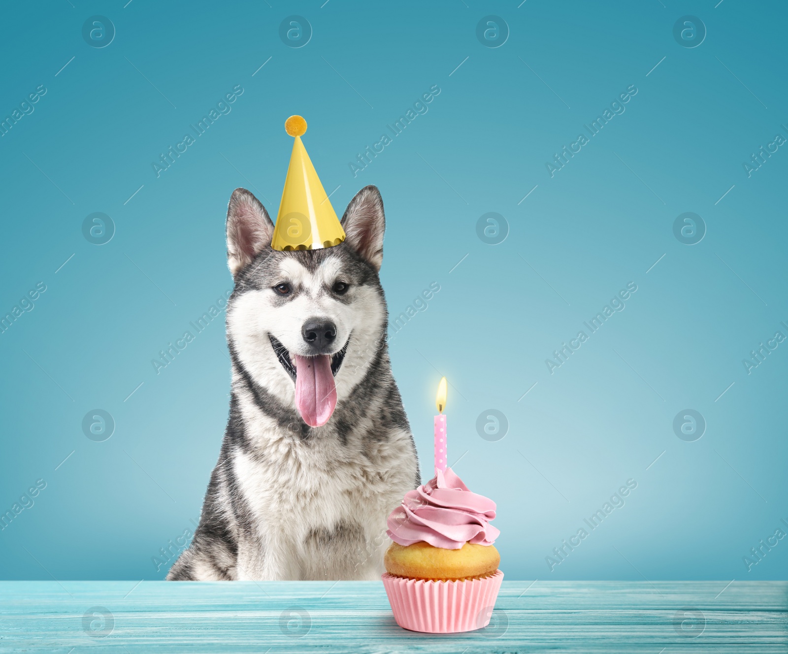 Image of Cute dog with party hat and delicious birthday cupcake on light blue background