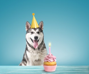 Cute dog with party hat and delicious birthday cupcake on light blue background