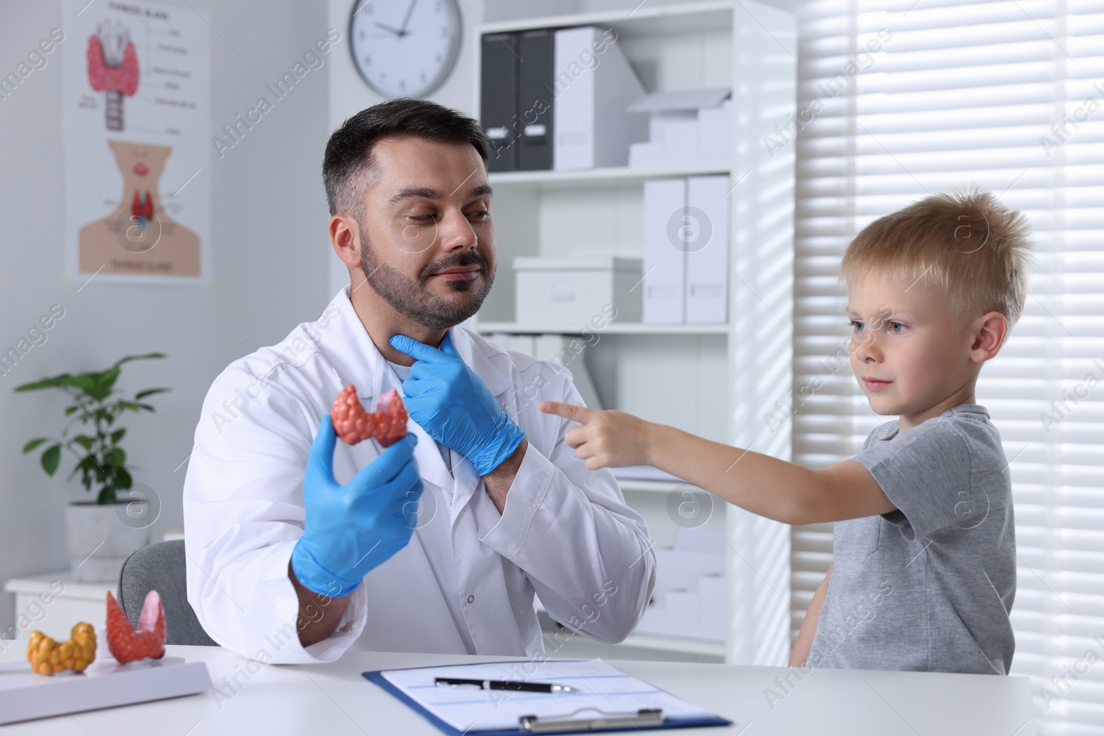 Photo of Endocrinologist showing thyroid gland model to little patient at table in hospital