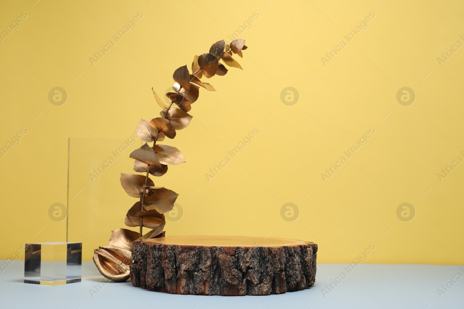 Photo of Autumn presentation for product. Wooden stump, geometric figures, golden branch with leaves and walnut on color background, space for text