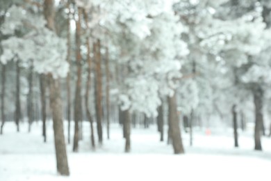Photo of Beautiful snowy forest in winter, blurred view
