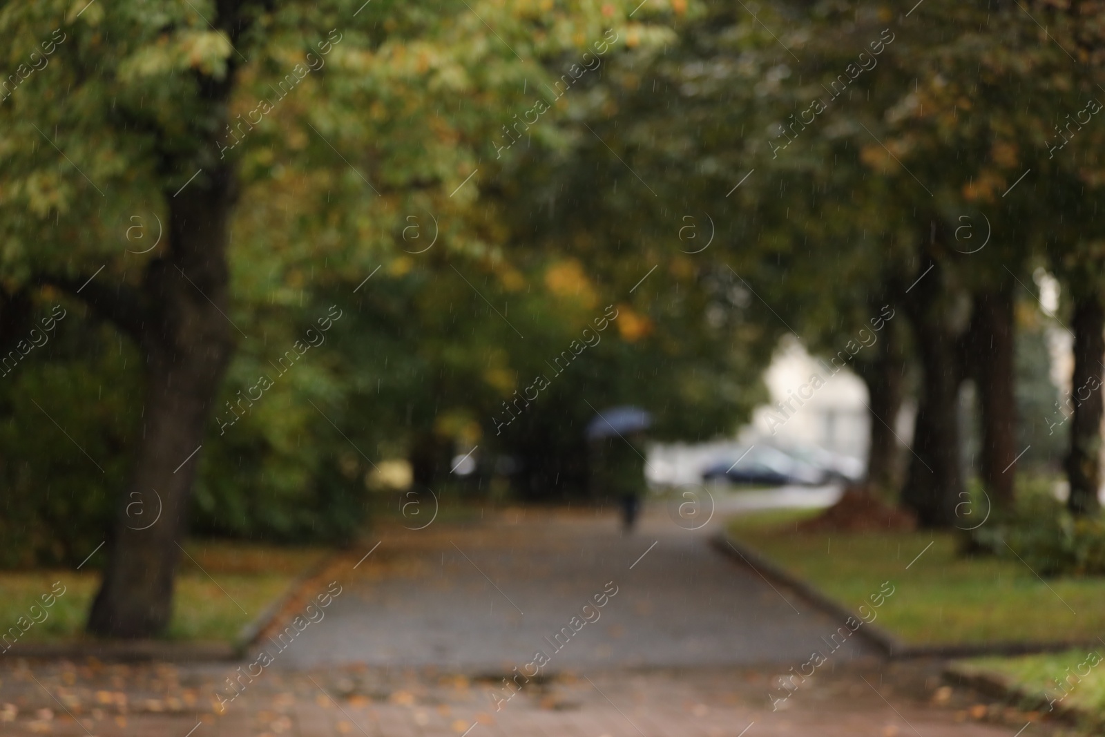 Photo of Blurred view of pathway in autumn park on rainy day