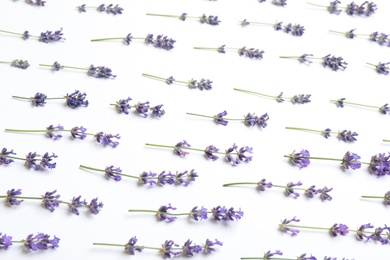 Photo of Beautiful fresh lavender flowers on white background