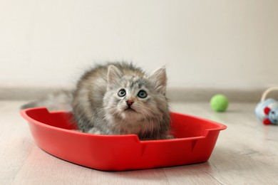 Photo of Cute fluffy kitten in litter box at home