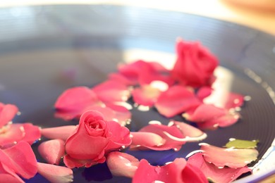 Photo of Pink roses and petals in water, closeup