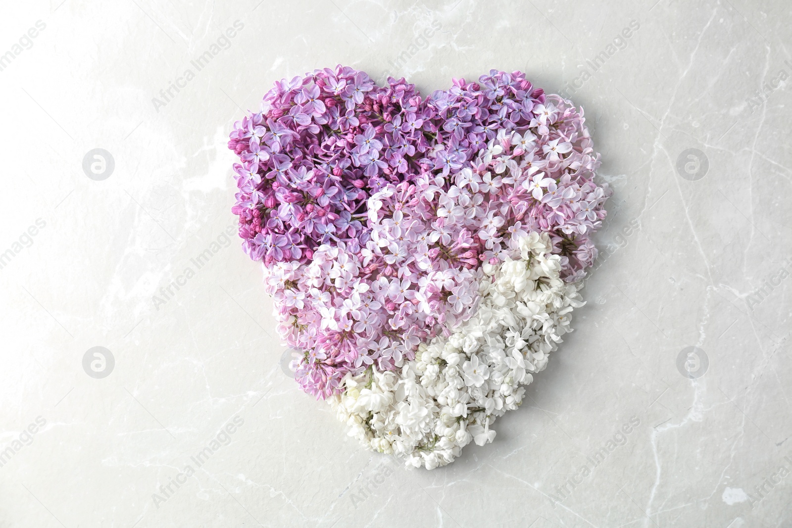 Photo of Heart made of blossoming lilac on light background, top view. Spring flowers