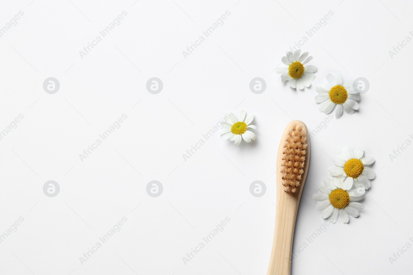 Photo of Bamboo toothbrush and beautiful chamomile flowers on white background, flat lay. Space for text