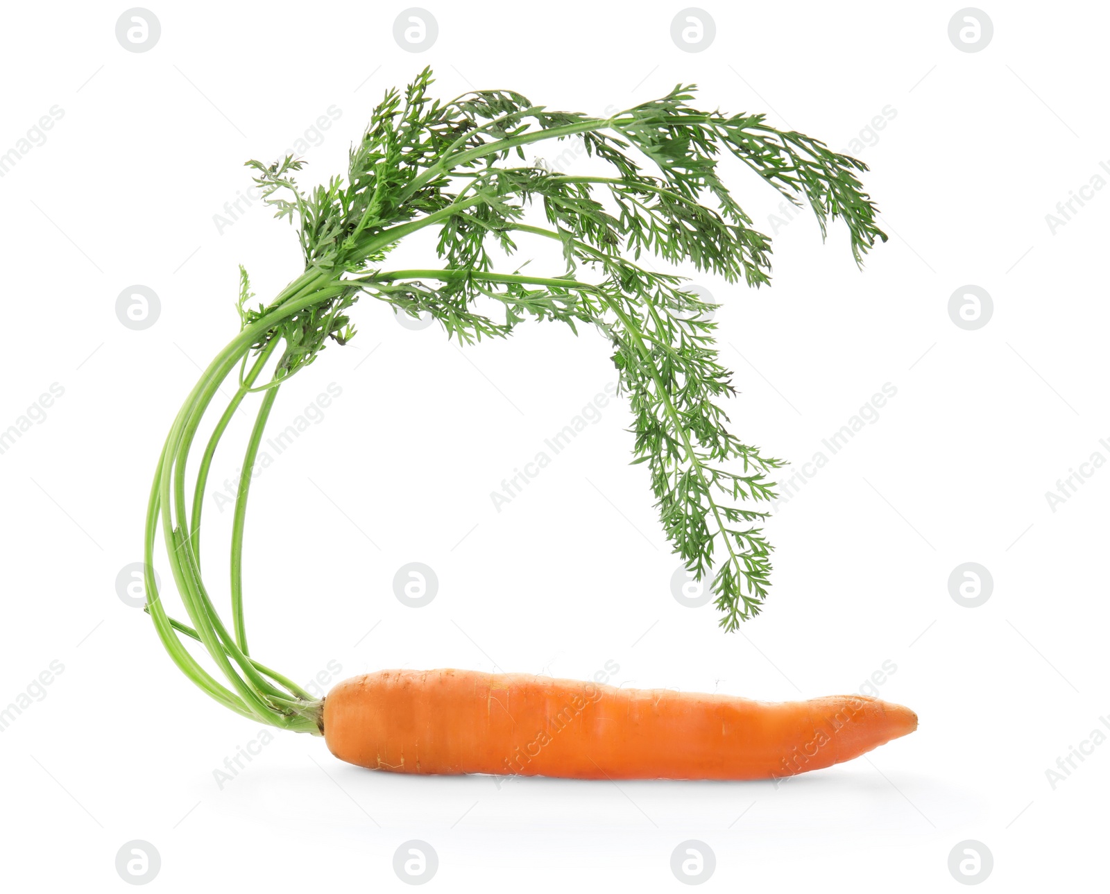 Photo of Ripe carrot on white background. Healthy diet