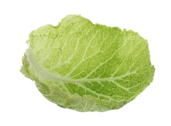 Fresh leaf of savoy cabbage isolated on white