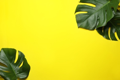 Photo of Flat lay composition with tropical monstera leaves and space for text on color background