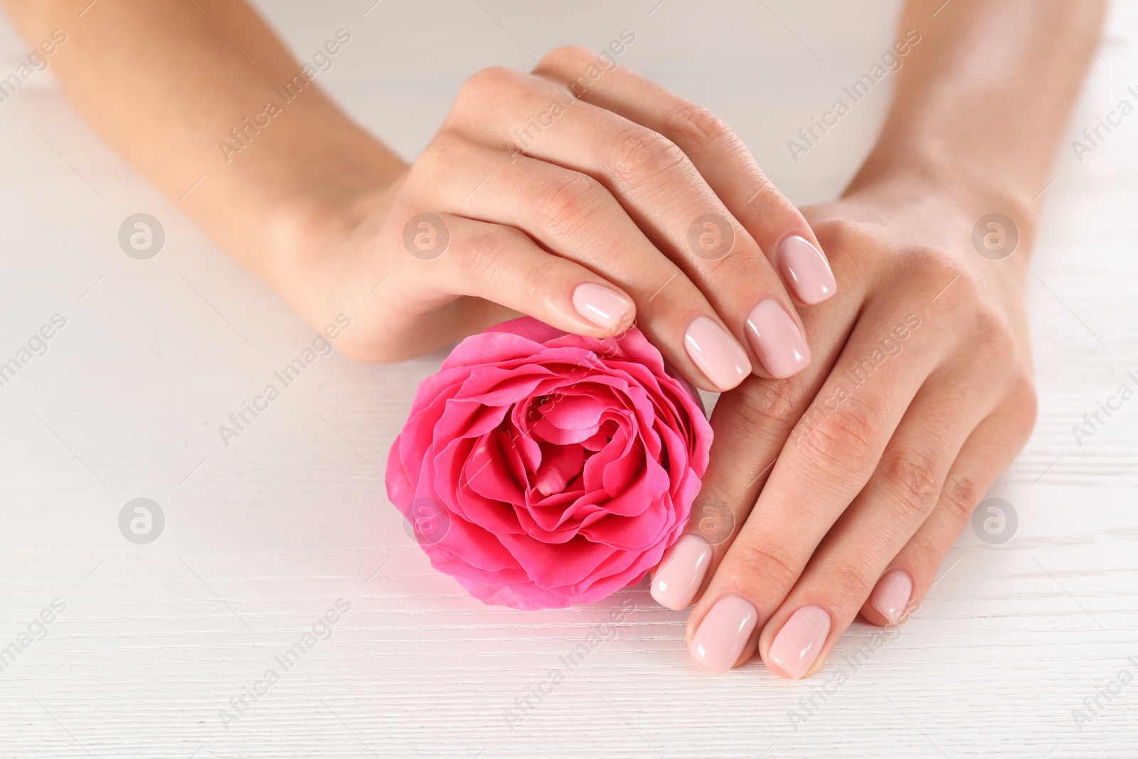 Photo of Closeup view of woman with rose at white wooden table, space for text. Spa treatment