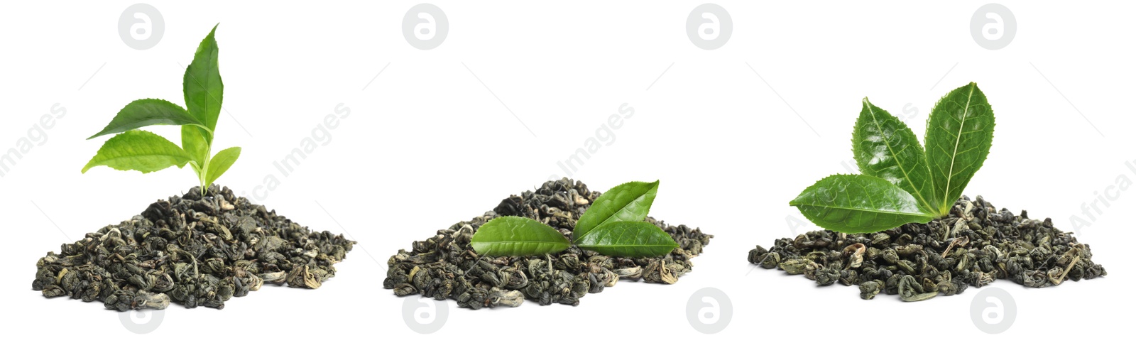 Image of Dry green tea and fresh leaves on white background, collage. Banner design 