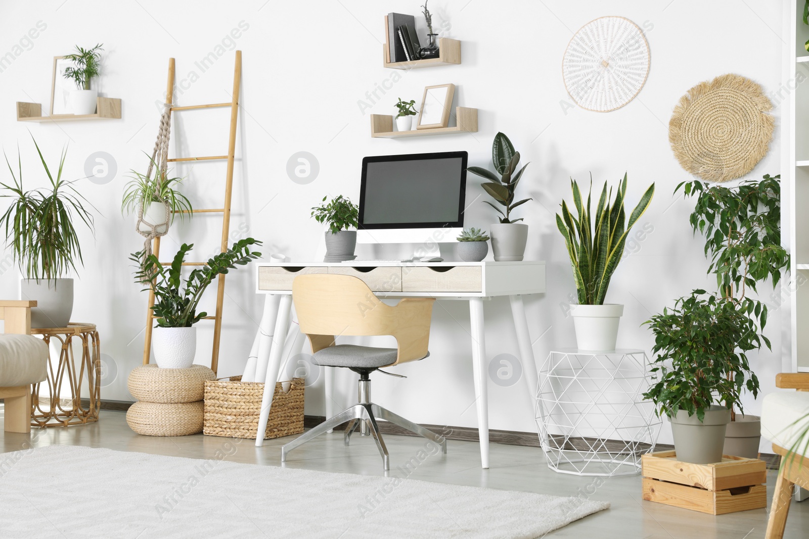 Photo of Comfortable workplace with modern computer and different houseplants in room