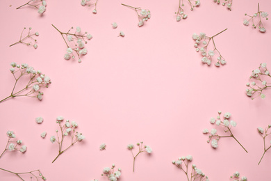 Photo of Frame made of beautiful gypsophila flowers on pink background, flat lay with space for text. Floral layout