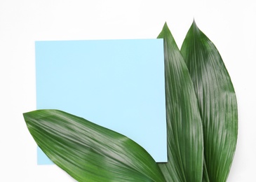 Beautiful composition with tropical leaves on light background, top view