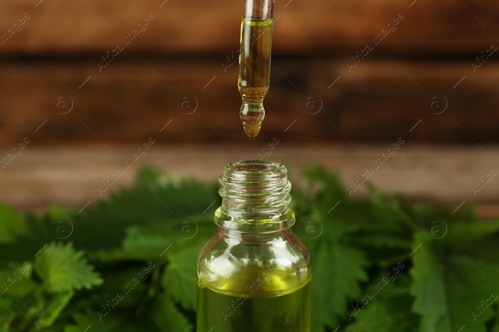 Photo of Dripping nettle oil from pipette into glass bottle and leaves against wooden background, closeup
