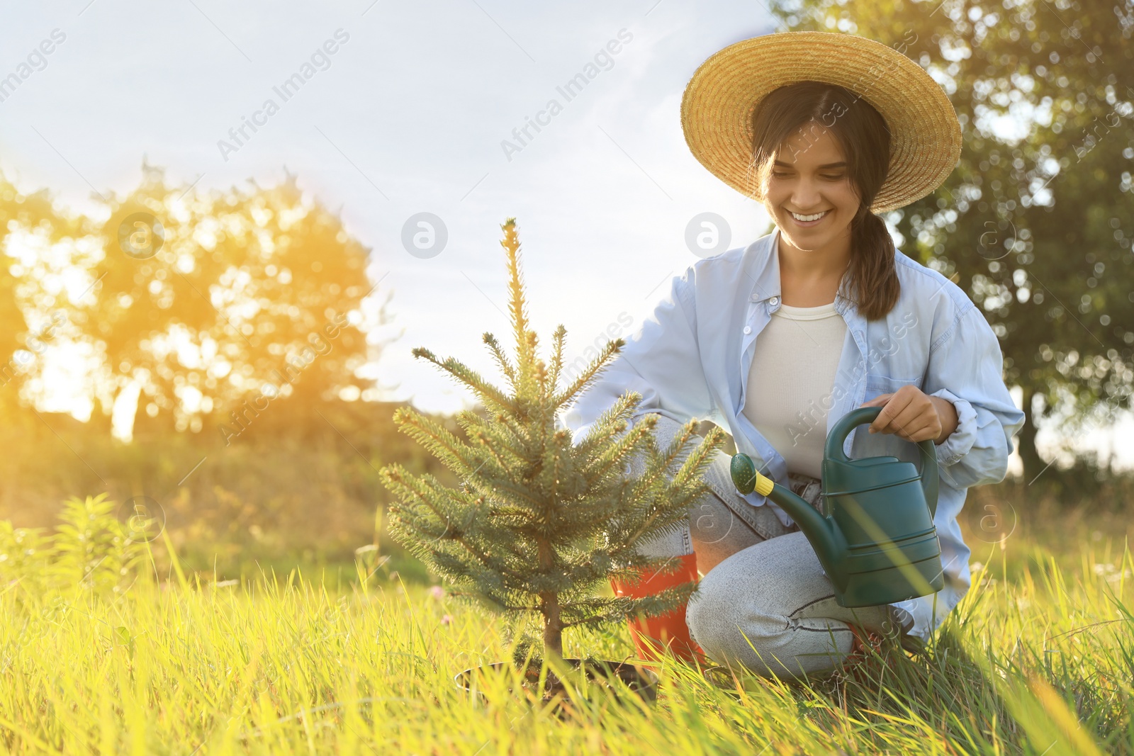 Photo of Woman with watering can near conifer tree in meadow on sunny day