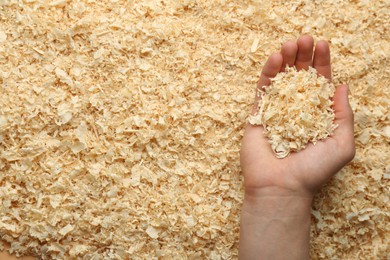 Photo of Woman holding dry natural sawdust, top view
